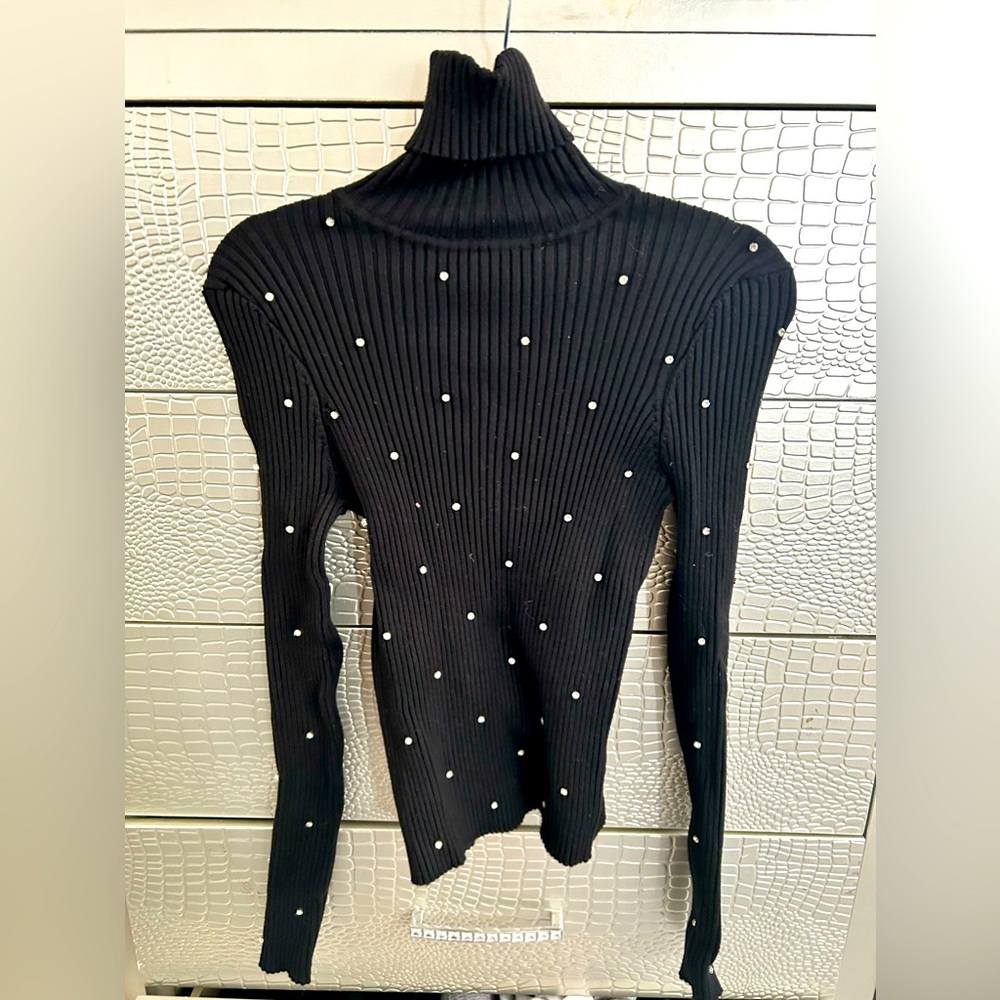 Zara Rhinestone Turtle Neck Sweater (small)